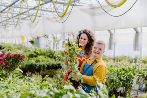 Australian Apprentices with disability