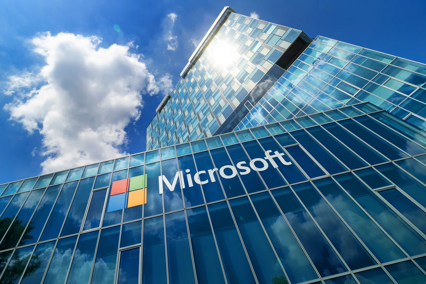 Microsoft Trainees